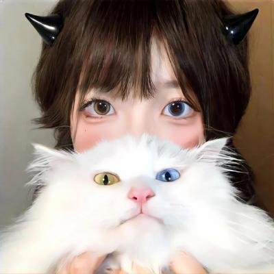 牛皮